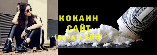твердый Аркадак