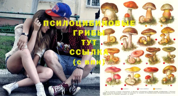 эйфоретик Баксан