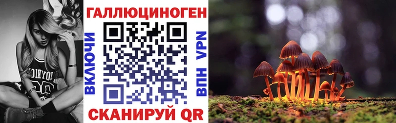 Псилоцибиновые грибы мицелий  Купить где  Бобров 